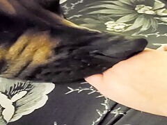 Thumb 6